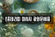 스포테라피 마사지 광화문세종