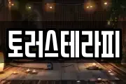 토러스테라피