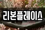 리본플레이스