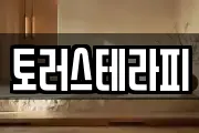 토러스테라피