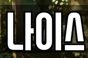 나이스