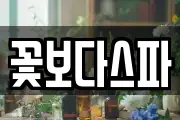 꽃보다스파