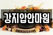 강지압안마원