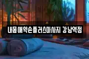 내몸애약손플러스마사지 강남역점
