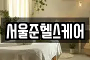 서울준헬스케어