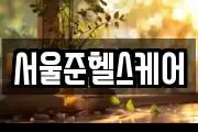 서울준헬스케어