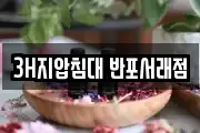 3H지압침대 반포서래점