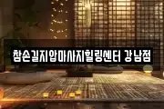 서울특별시 서초구 마사지, 지압등 업체정보