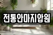 전통안마지압원