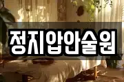 정지압안술원