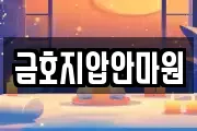 서울특별시 성동구 금호동3가 마사지, 지압등 업체정보