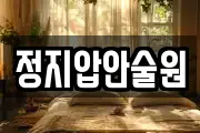 정지압안술원