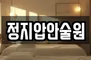 정지압안술원