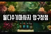월디수기마사지 압구정점