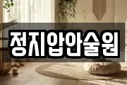 정지압안술원