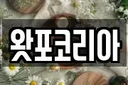 왓포코리아