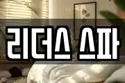 리더스 스파