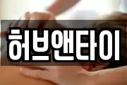허브앤타이