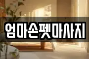 엄마손펫마사지