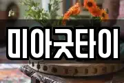 미아굿타이