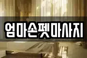 엄마손펫마사지