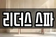 리더스 스파