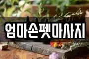 엄마손펫마사지