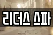 리더스 스파