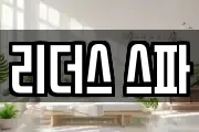 리더스 스파
