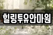힐링투유안마원