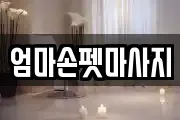 엄마손펫마사지