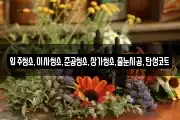 입주청소,이사청소,준공청소,상가청소,줄눈시공,탄성코트