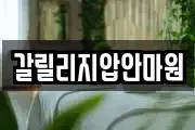 갈릴리지압안마원