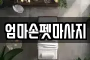 서울특별시 성북구 정릉동 마사지, 지압등 업체정보