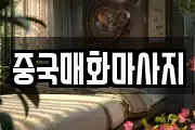 중국매화마사지