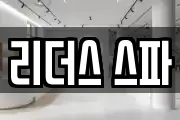 리더스 스파