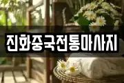 진화중국전통마사지