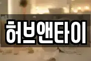허브앤타이