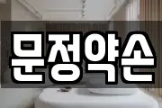 문정약손