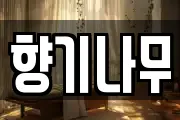 향기나무