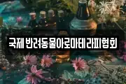 국제반려동물아로마테라피협회