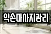 서울특별시 송파구 삼전동 마사지, 지압등 업체정보