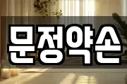 문정약손