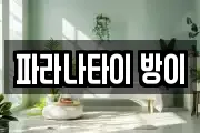 파라나타이 방이