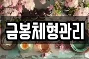금봉체형관리
