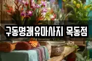 서울특별시 양천구 목동 마사지, 지압등 업체정보