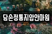 담손정통지압안마원