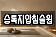 승록지압침술원
