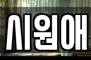 시원애
