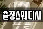출장스웨디시